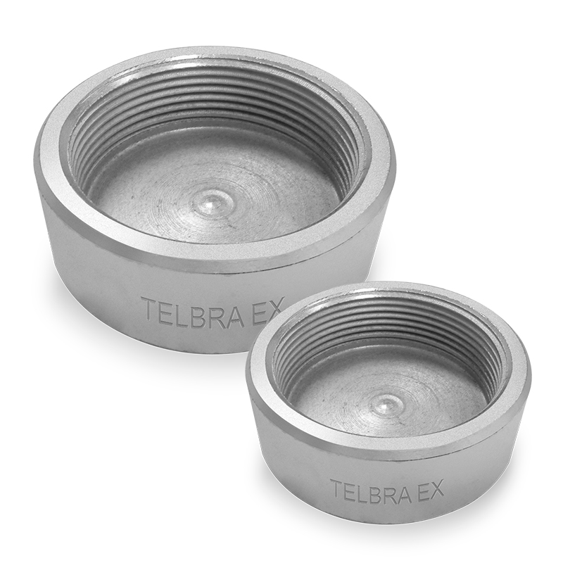 TAMP&Atilde;O CAPS Ex e - TCPSEX